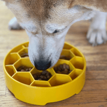 Load image into Gallery viewer, Slow Feeder Dog Bowls