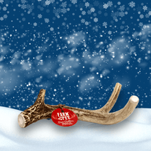 Load image into Gallery viewer, Deer Antler Dog Chews | Organic Chews for Dogs