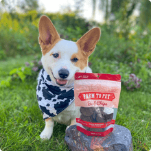 Load image into Gallery viewer, Beef Chips Dog Treats | Single-Ingredient Healthy Treats for Dogs