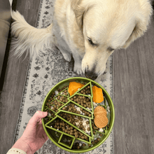 Load image into Gallery viewer, Slow Feeder Dog Bowls
