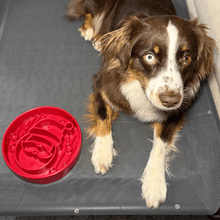 Load image into Gallery viewer, Slow Feeder Dog Bowls