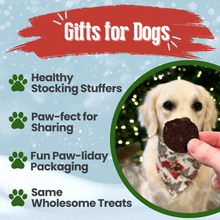 Load image into Gallery viewer, Snack Stuffers Mini Dog Treat Bags