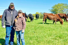 Load image into Gallery viewer, Club Maha Cow Share