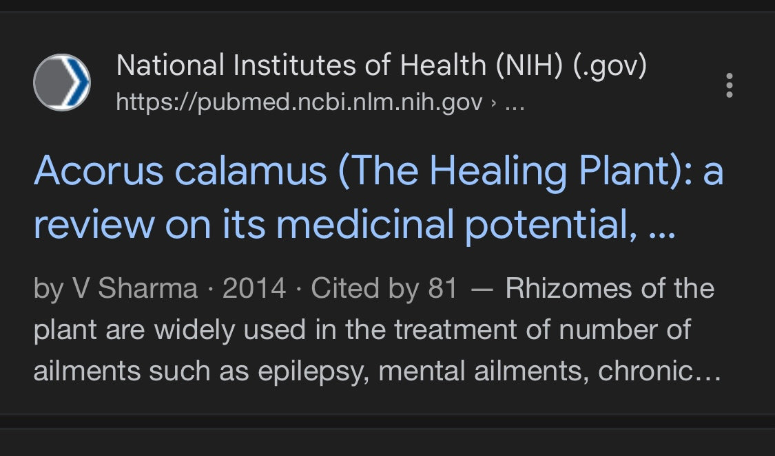 Calamus root