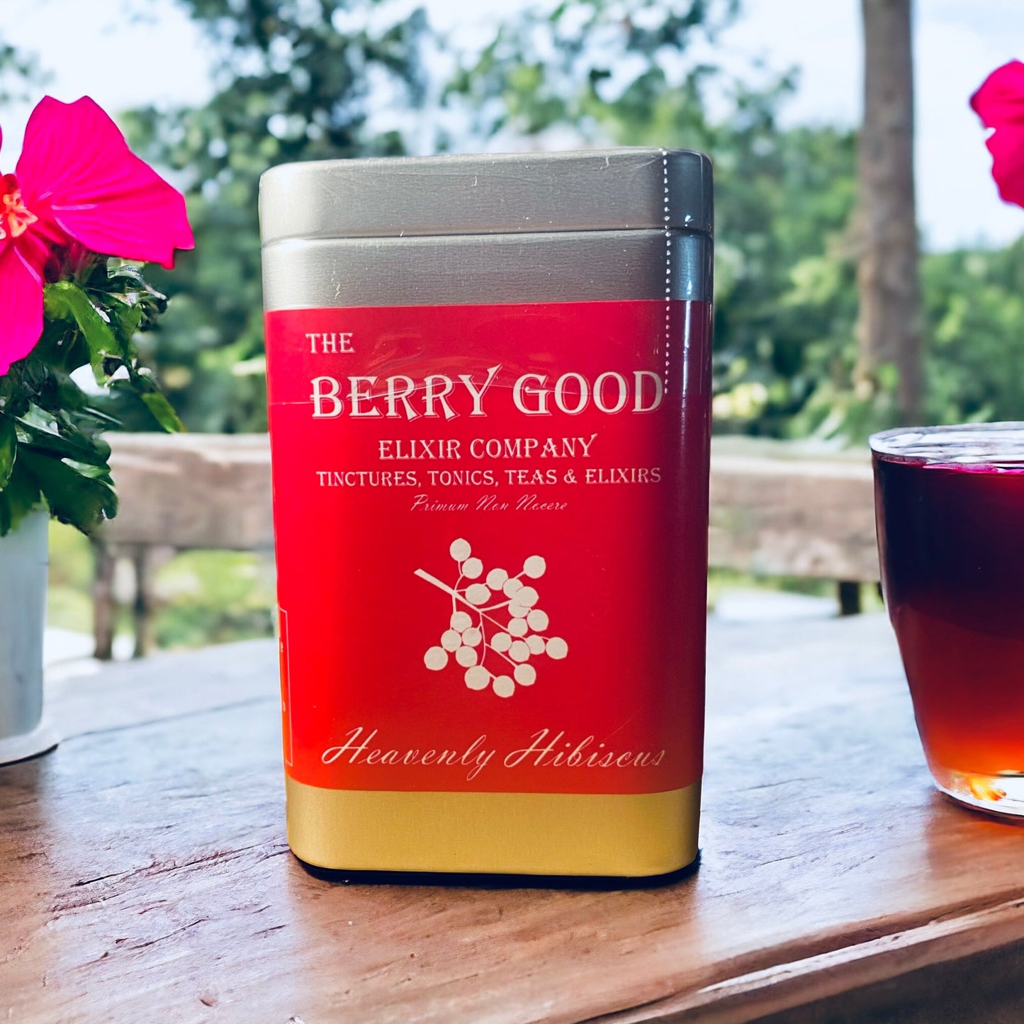 Heavenly Hibiscus