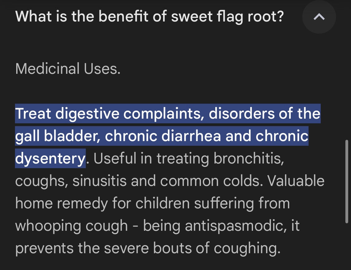 Calamus root