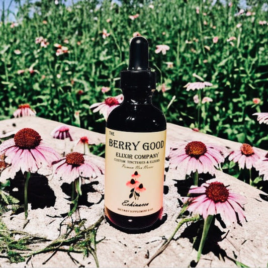 Echinacea
