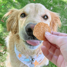 Load image into Gallery viewer, Chicken Chips for Dogs | All-Natural Single-Ingredient Dog Treats