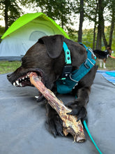 Load image into Gallery viewer, Lamb Shank (GFF &amp; Pasture Raised)