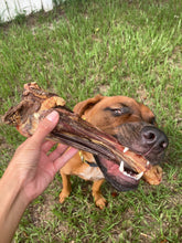 Load image into Gallery viewer, Lamb Shank (GFF &amp; Pasture Raised)