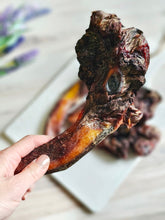 Load image into Gallery viewer, Beef Pizzle (Sticks, Loops, Short,