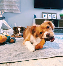 Load image into Gallery viewer, Pork Tails