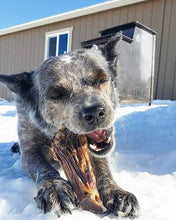 Load image into Gallery viewer, Lamb Shank (GFF &amp; Pasture Raised)