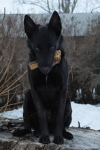 Load image into Gallery viewer, Lamb Shank (GFF &amp; Pasture Raised)