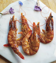 Load image into Gallery viewer, Shrimp