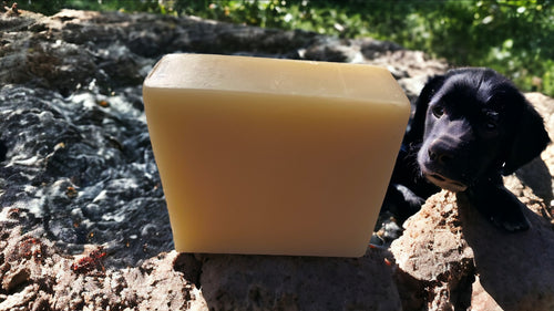 Dog’s Shampoo/Conditioner bar