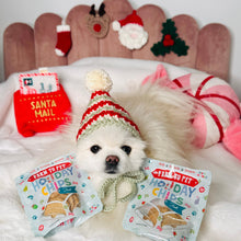 Load image into Gallery viewer, Snack Stuffers Mini Dog Treat Bags