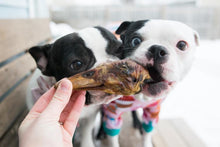 Load image into Gallery viewer, Duck Heads (ABF)