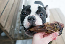 Load image into Gallery viewer, Duck Heads (ABF)