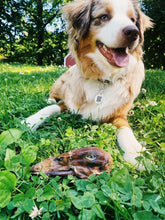 Load image into Gallery viewer, Duck Heads (ABF)