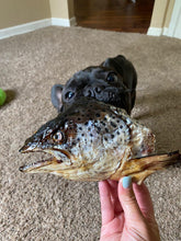Load image into Gallery viewer, Salmon Head (2 Halves/Farm Raised)