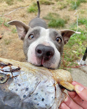 Load image into Gallery viewer, Salmon Head (2 Halves/Farm Raised)