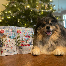 Load image into Gallery viewer, Holiday Chips Dog Treats - Beef &amp; Fish 4oz