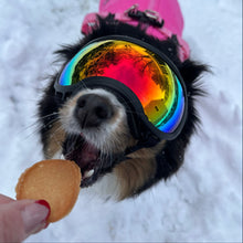 Load image into Gallery viewer, Farm to Pet E-Gift Card