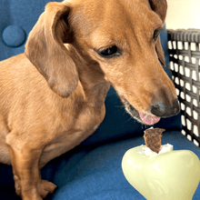 Load image into Gallery viewer, Dog Treat Dispensers