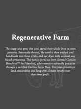 Load image into Gallery viewer, Sustainable Wool Scrub