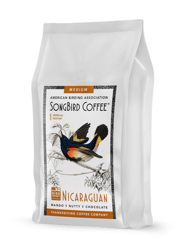 SongBird Nicaraguan