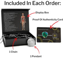 Load image into Gallery viewer, Defense Pendant