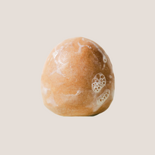 Load image into Gallery viewer, Hydrate Shampoo