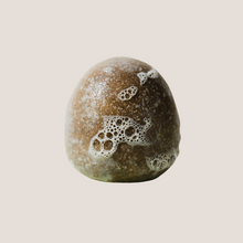 Load image into Gallery viewer, Fortify Shampoo