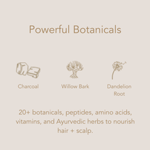 Load image into Gallery viewer, Detox Shampoo