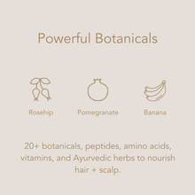 Load image into Gallery viewer, Hydrate Shampoo