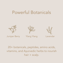 Load image into Gallery viewer, Heal Ritual Box Set (Limited Edition)