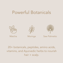 Load image into Gallery viewer, Fortify Shampoo