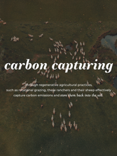 Load image into Gallery viewer, Jumbo Wool Dryer Balls ( 3 pack )