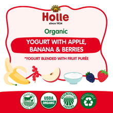 Load image into Gallery viewer, Holle Organic Yogurt Pouches - Apple, Banana &amp; Berries