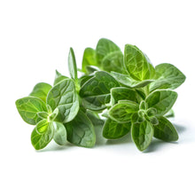 Load image into Gallery viewer, Oregano Essential Oil - Organic