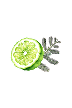 Load image into Gallery viewer, Floor Cleaner Concentrate | Bergamot &amp; Cypress