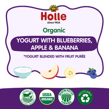 Load image into Gallery viewer, Holle Organic Yogurt Pouches - Blueberries, Apple &amp; Banana