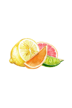 Load image into Gallery viewer, Floor Cleaner Concentrate | Lemon, Lime, Orange &amp; Grapefruit
