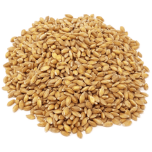 Load image into Gallery viewer, Einkorn Berries, Organic