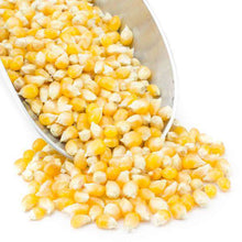 Load image into Gallery viewer, Popcorn, Yellow, Organic