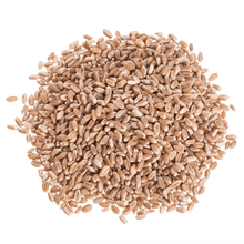 Load image into Gallery viewer, Wheat Berries, Hard Red, Organic