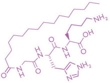 Load image into Gallery viewer, Organic Vitamin A Microcaps Night Cream – Skin Brightener &amp; Age-Defying Formula