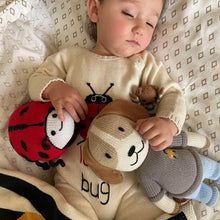 Load image into Gallery viewer, Organic Knit Doll, Frank Dog by Estella