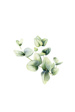 Load image into Gallery viewer, Room Spray | Eucalyptus